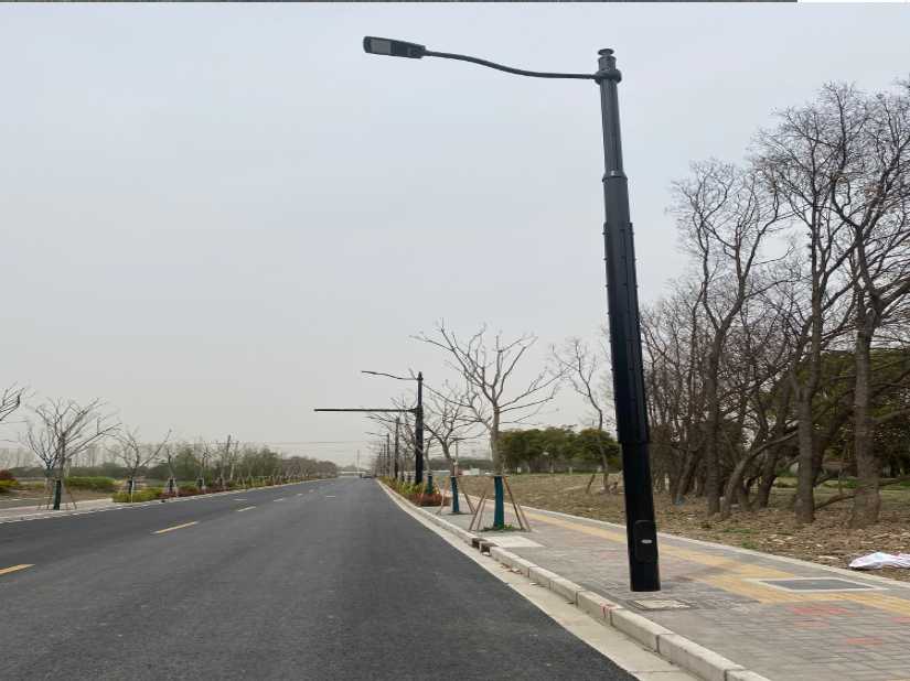 渭滨区上海综合杆 太阳能路灯工程